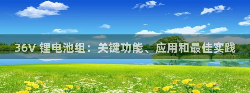 尊龙官方网站首页：36V 锂电池组：关键功能、应用和最佳实践