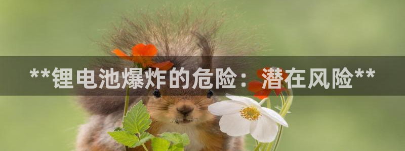 尊龙凯时存款不上分