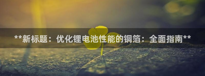 尊龙凯时vip